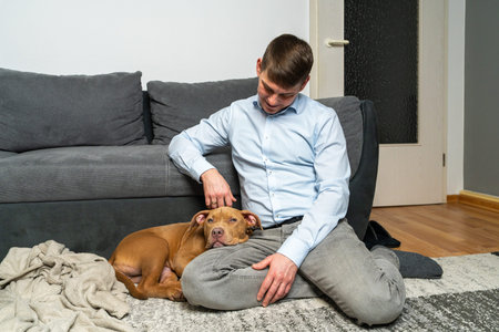Man relaxing at home while gently petting his American Staffordshire Terrier puppy. Warm domestic lifestyle scene showing love, companionship, emotional bond between owner and dogの写真素材