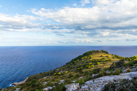 Scenic view from mountain overlooking the blue Mediterranean Sea in Canyamel, Mallorca, Spain....