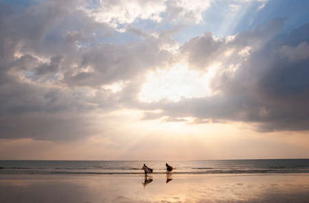 two surfers going to water in sunset or sunriseの写真素材