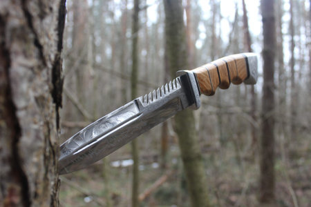 Knife and wood