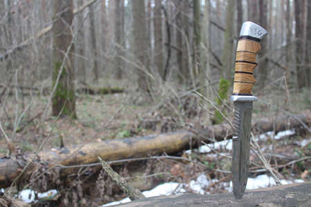 Knife in the treeの写真素材