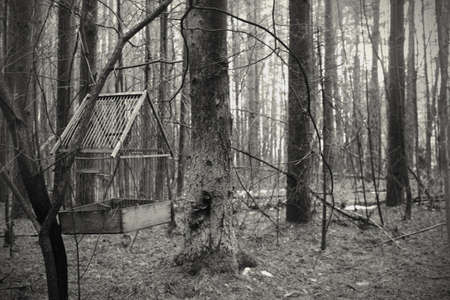 Cage on a treeの写真素材