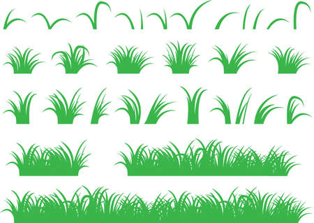 Green grass illustrated on whiteのイラスト素材