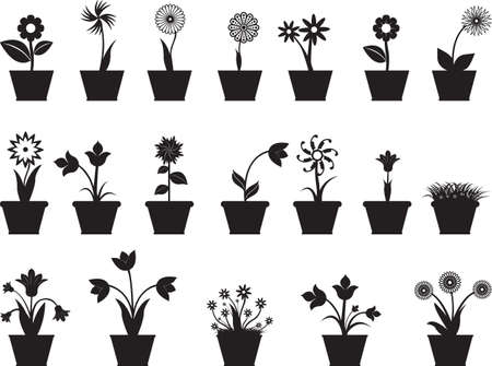 Set of flowers in pot illustrated on whiteのイラスト素材