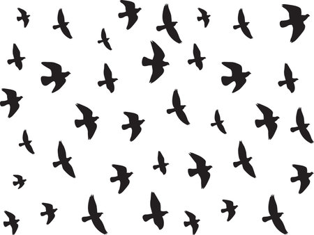 Flying birds isolated on white backgroundのイラスト素材