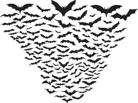 Set of bats flying isolated on whiteのイラスト素材