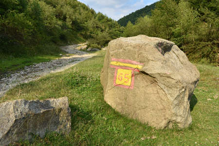 Sign on a rock near country road in forestの写真素材