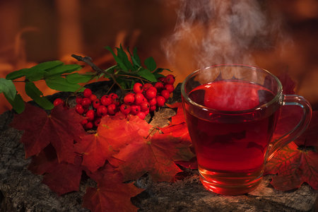 hot tea in the autumn woodの写真素材