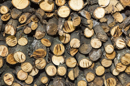 Texture of firewood stacked end face one on one of various sizesの写真素材