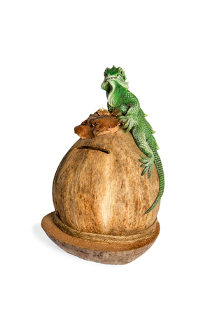 Souvenir green lizard on a coconut piggy bank isolated on white backgroundの写真素材