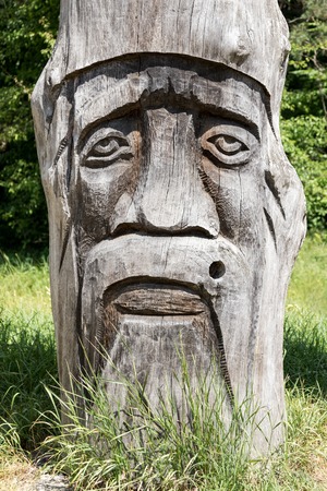 Druid face carved in a tree trunk on a background of natureの写真素材