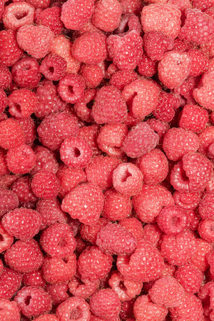 Background vertical orientation of fresh red raspberries