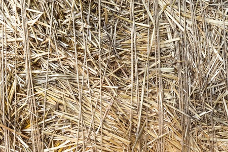 Abstract background of an old straw tied with twine closeupの写真素材