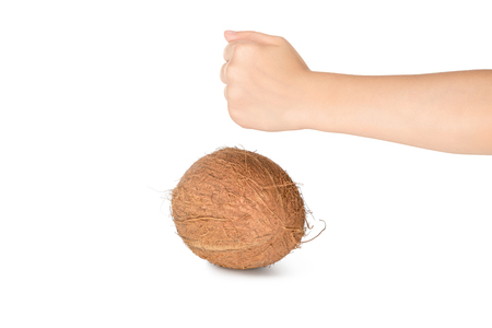 Hand clenched in a fist breaks a ripe coconut isolated on white backgroundの写真素材