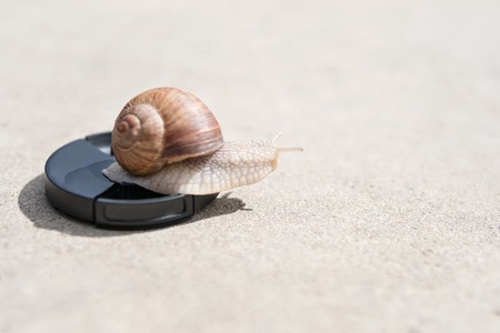 Large snail crawls on the lens cover of the camera lying on the asphaltの写真素材