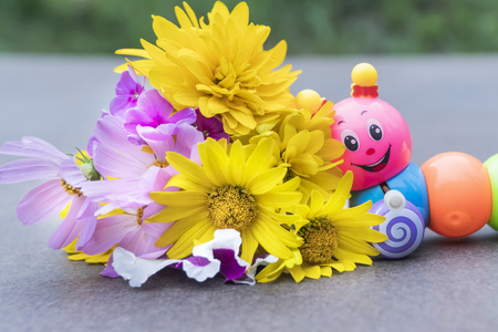 Toy caterpillar crawls to a bouquet of wildflowers, close-upの写真素材