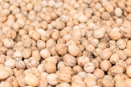 texture perspective, receding into the distance of walnuts in shell, as a background