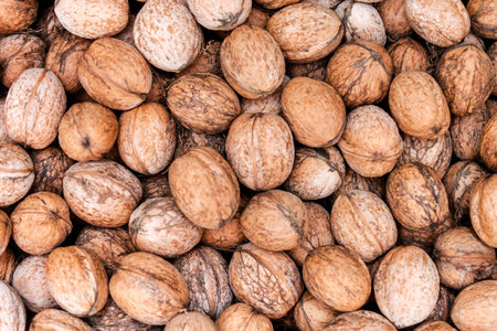 pile of walnuts in shell close up as background