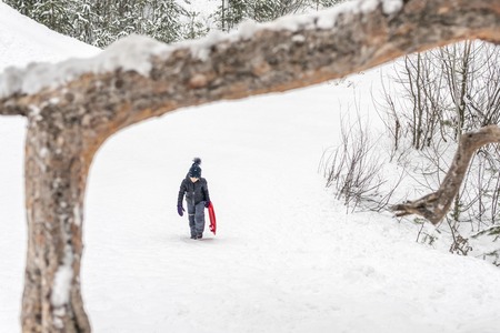 girl climbs a hill to a snag with a red ice-boats in her handの写真素材