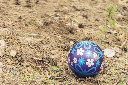 old blue rubber ball in a pine forest on the needles near a young pineの写真素材
