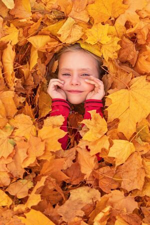 face of a little beautiful girl peeks out of a pile of yellow maple leaves in autumnの写真素材
