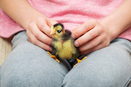 child holding a little ugly chick on your lap
