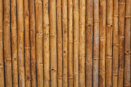 bamboo fence background. vertical Texture, golden colorの写真素材