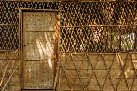 bamboo texture and backgroundの写真素材