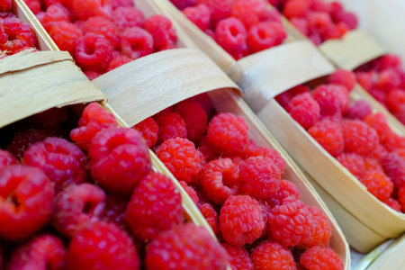 Fresh raspberries picked and in a wooden basket.の写真素材