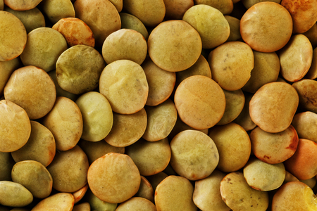 Lentils. Lentils background. Green lentils pattern. Natural organic lentils for healthy food.の写真素材