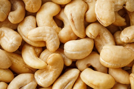 Organic Cashew with no shell on a backgroundの写真素材