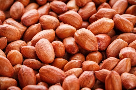 Peanuts  backgroundの写真素材
