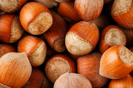 Hazelnuts backgroundの写真素材