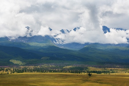 Scenic view of the snow-covered North-Chuya range in the Altai mountains in the summer, Siberia, Russia.の写真素材