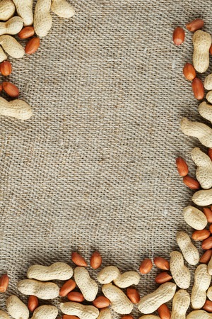 Peanut in shell and peeled peanuts closeup. Background with peanuts. Roasted peanuts in a shell and peeled on a brown fabric background.の写真素材