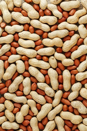 Peanuts in a shell mixed with peeled, the texture of the food background of beans. Organic Vegan Protein Sourceの写真素材