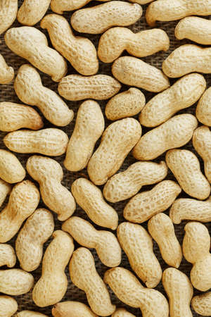 Peanuts in their food texture background. Golden shell roasted peanuts. Organic Vegan Protein Source.の写真素材