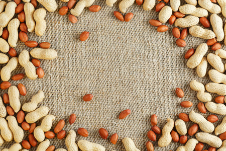 Peanut in shell and peeled peanuts closeup. Background with peanuts. Roasted peanuts in a shell and...
