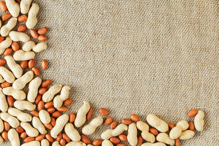 Peanut in shell and peeled peanuts closeup. Background with peanuts. Roasted peanuts in a shell and...