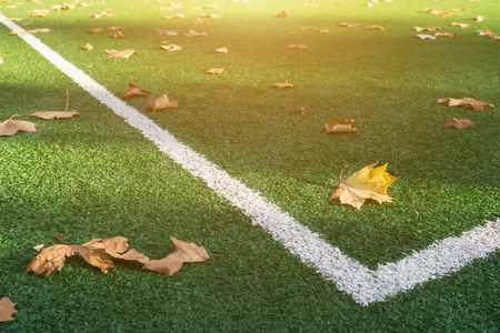 Artificial turf of a football field, corner marker line. With autumn golden foliageの写真素材