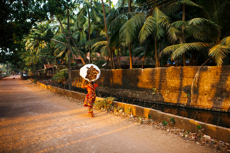 Indian woman with a big and heavy bag of brushwood on her head in a red sari. It goes along the river channel with palm trees. The setting sun in Gokarna. The concept of a strong woman.の写真素材