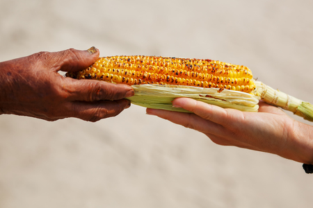 Large cob of corn on the grill. Closeup of the hand of an Indian woman passes the corn to a white girl. Asian street food. Trolley on the beach GOA.の写真素材