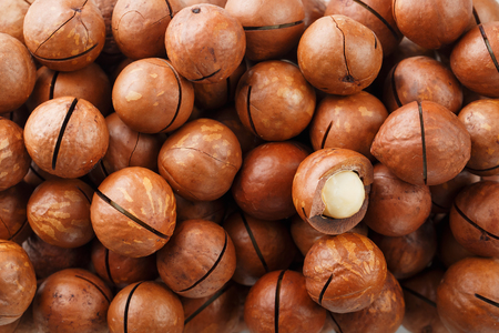 Texture of organic macadamia nut fresh natural fruit shelled one nut in full frame close-up view. Sawn shellの写真素材