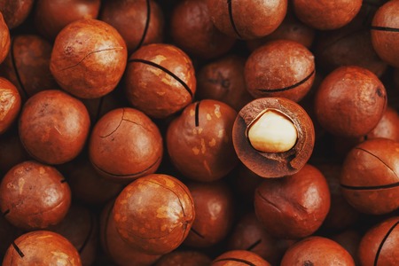 Texture of organic macadamia nut fresh natural fruit shelled one nut in full frame close-up view. Sawn shellの写真素材