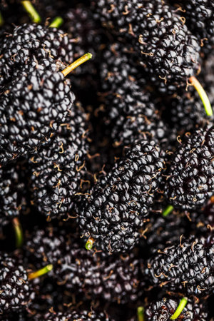 Ripe and fresh fruit of black mulberry, healthy food of juicy mulberry fruit. Close-up, the texture...