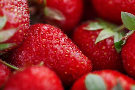 Juicy, ripe natural red strawberries without GMO. Strawberry - full frame. Close-up. Macroの写真素材