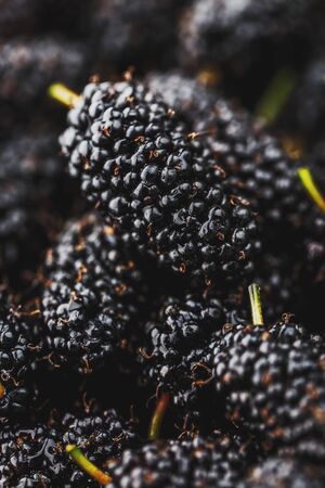 Ripe and fresh fruit of black mulberry, healthy food of juicy mulberry fruit. Close-up, the texture of the berries on the full frame. Macroの写真素材