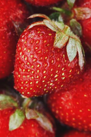 Juicy, ripe natural red strawberries without GMO. Strawberry - full frame. Close-up. Macroの写真素材