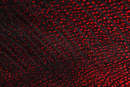 Red - black textured reptile skin, used texture for the background. Lizard or crocodile skin. Freshwater crocodile red bone skin texture background. .Full screen, top viewの写真素材