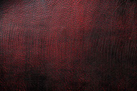 Red - black textured reptile skin, used texture for the background. Lizard or crocodile skin. Freshwater crocodile red bone skin texture background. .Full screen, top viewの写真素材